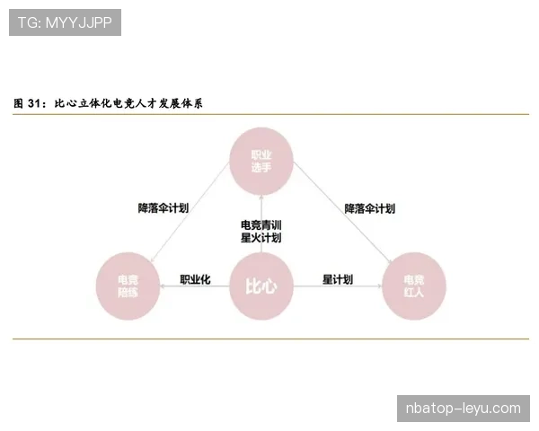 维特斯未来规划聚焦青训体系与财务可持续发展 维特斯未来规划聚焦青训体系与财务可持续发展